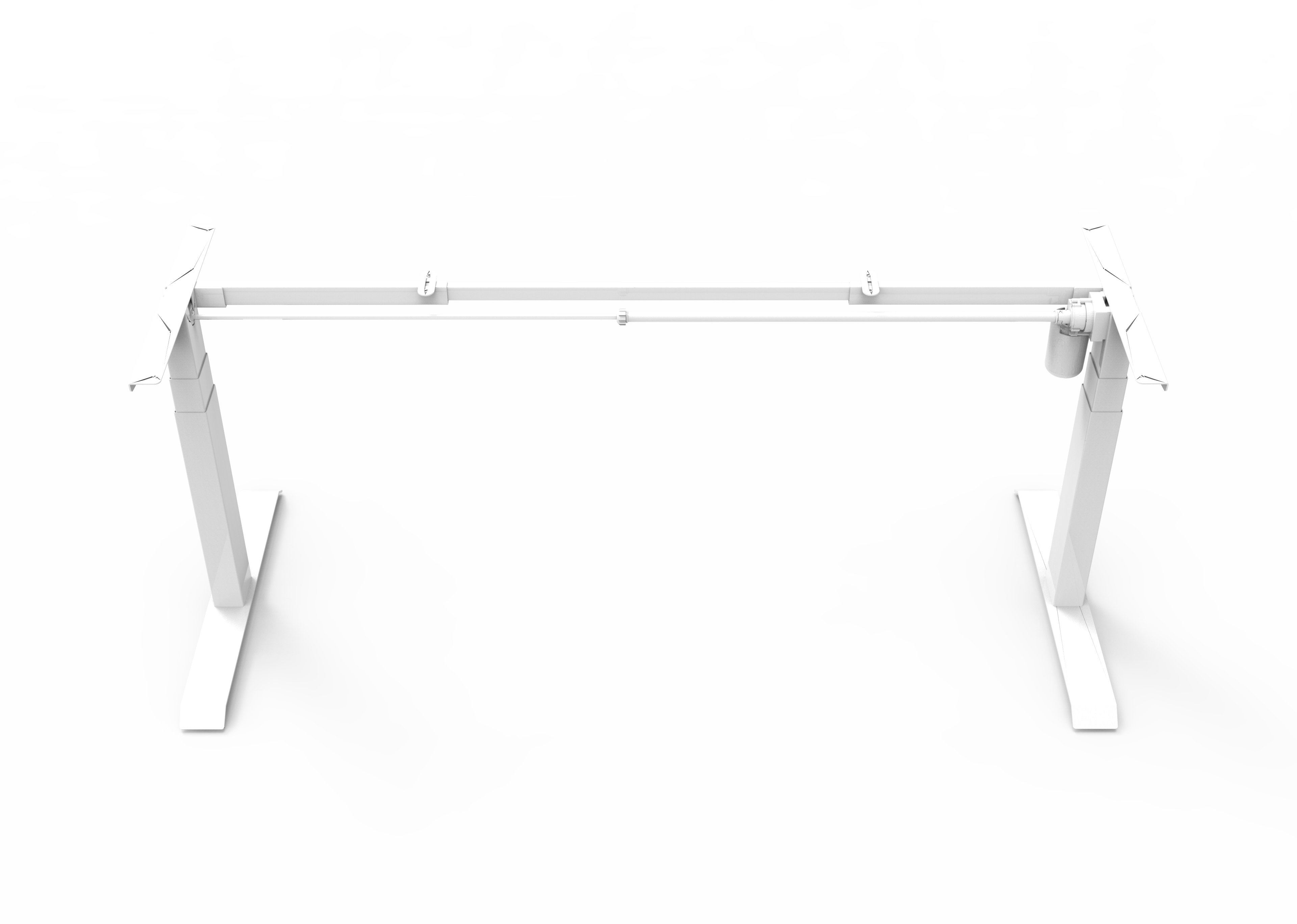 prod_images_blsf_ws.png